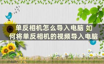 单反相机怎么导入电脑 如何将单反相机的视频导入电脑